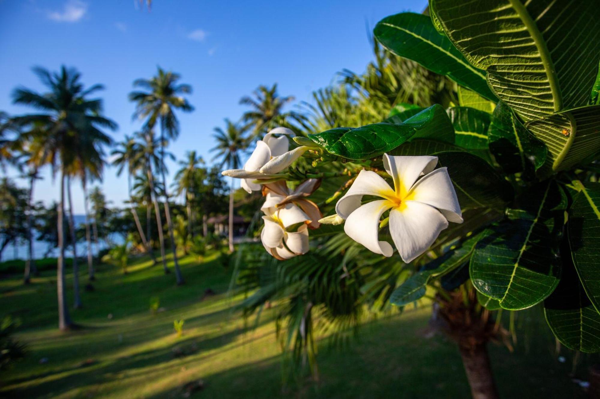 Ban Raya Resort And Spa Ko Racha Yai Exteriör bild