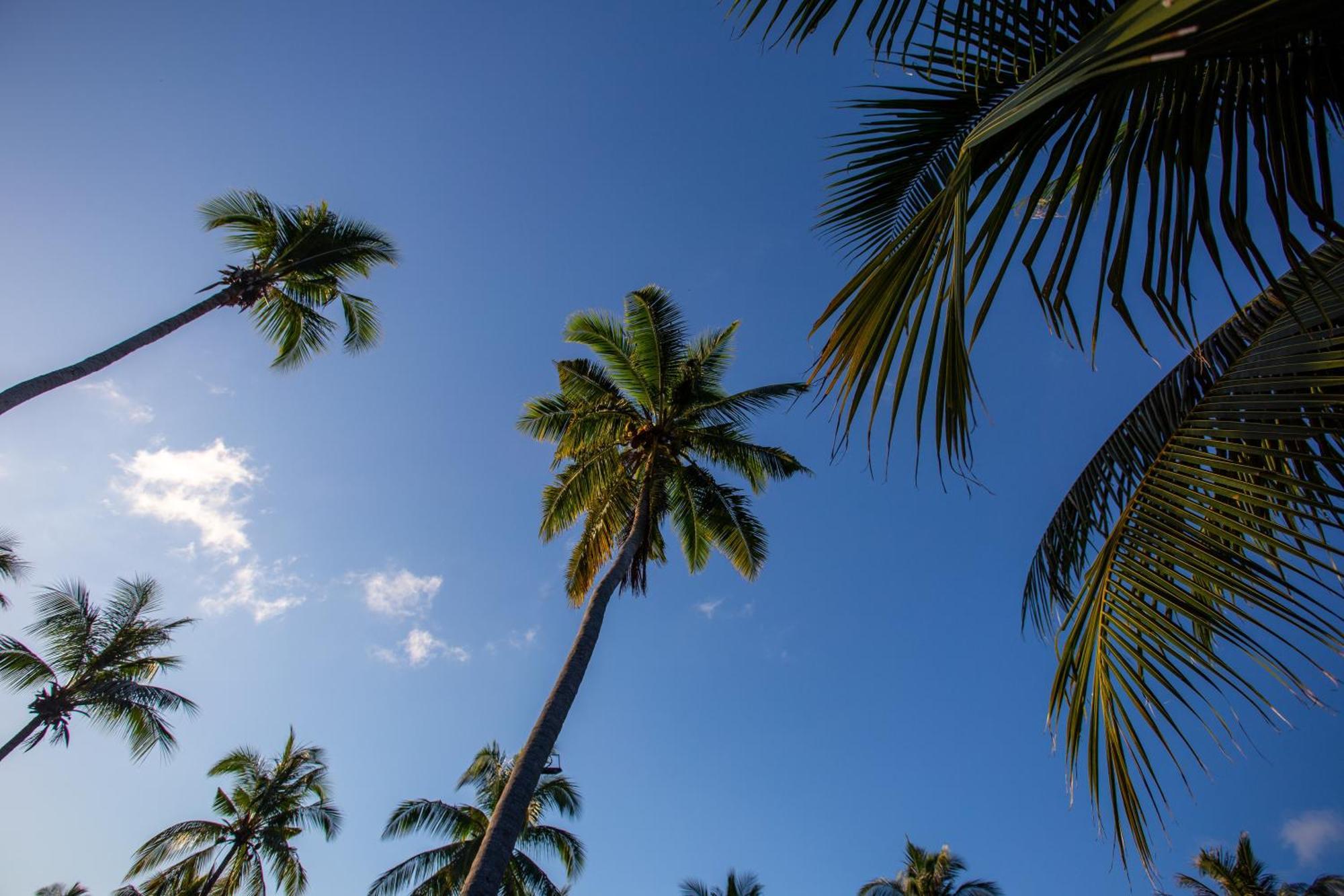 Ban Raya Resort And Spa Ko Racha Yai Exteriör bild