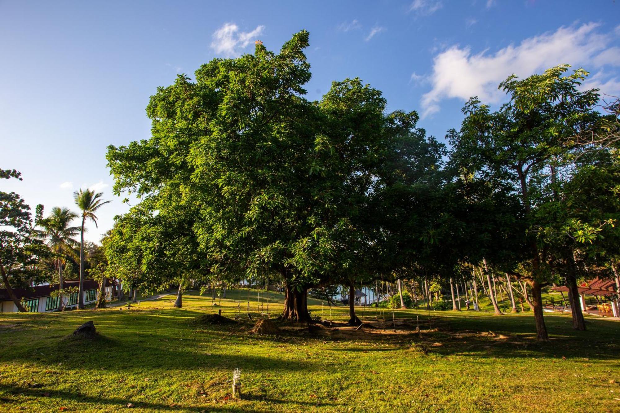 Ban Raya Resort And Spa Ko Racha Yai Exteriör bild