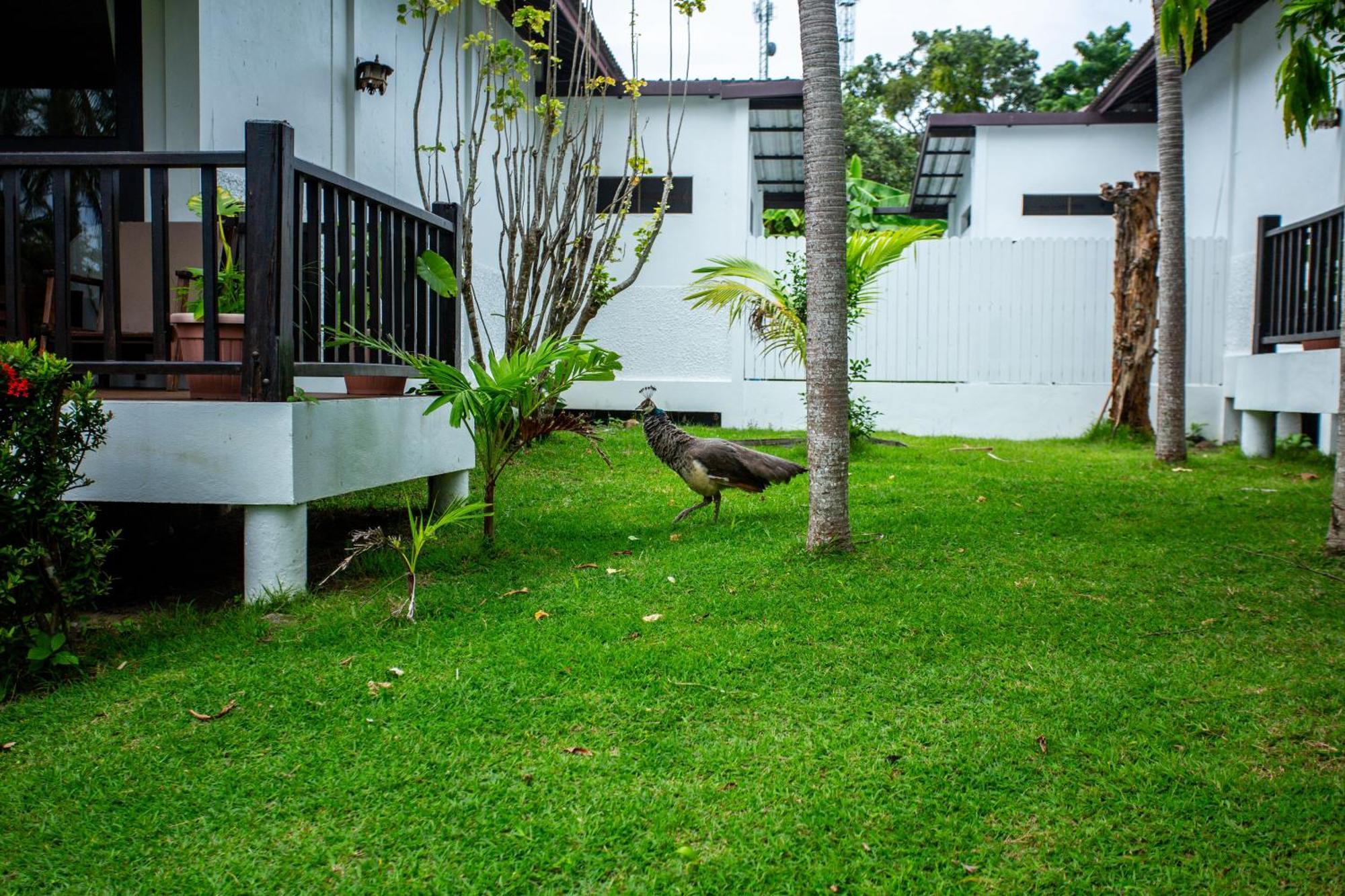 Ban Raya Resort And Spa Ko Racha Yai Exteriör bild